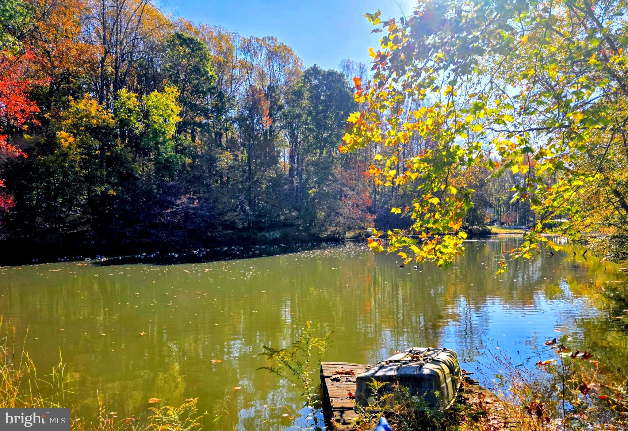 520 Chesapeake Beach Road Owings, MD 20736 - Photo 41 of 70 POND IN BACK YARD