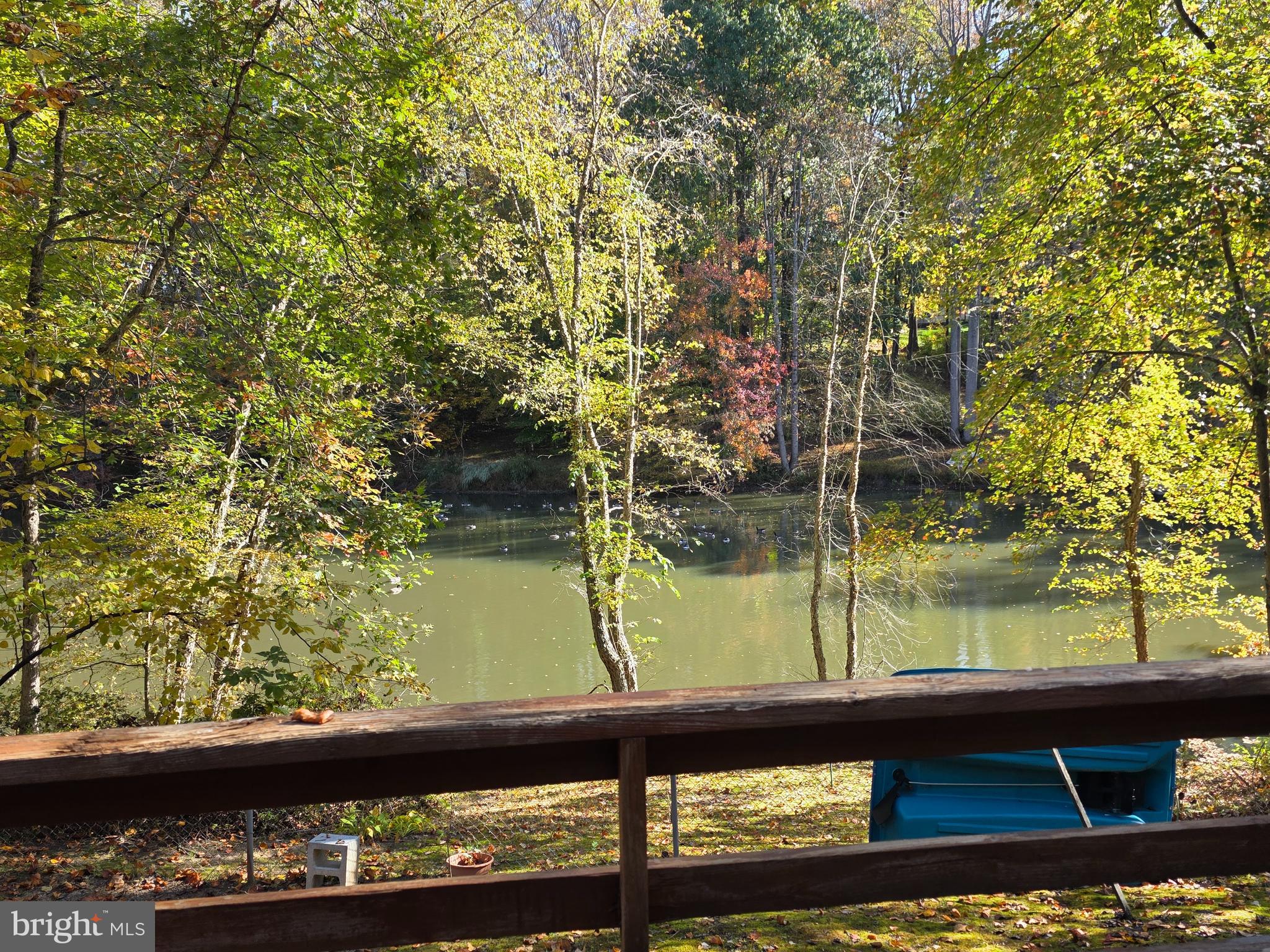 520 Chesapeake Beach Road Owings, MD 20736 - Photo 48 of 70 VIEW OF POND FROM DECK