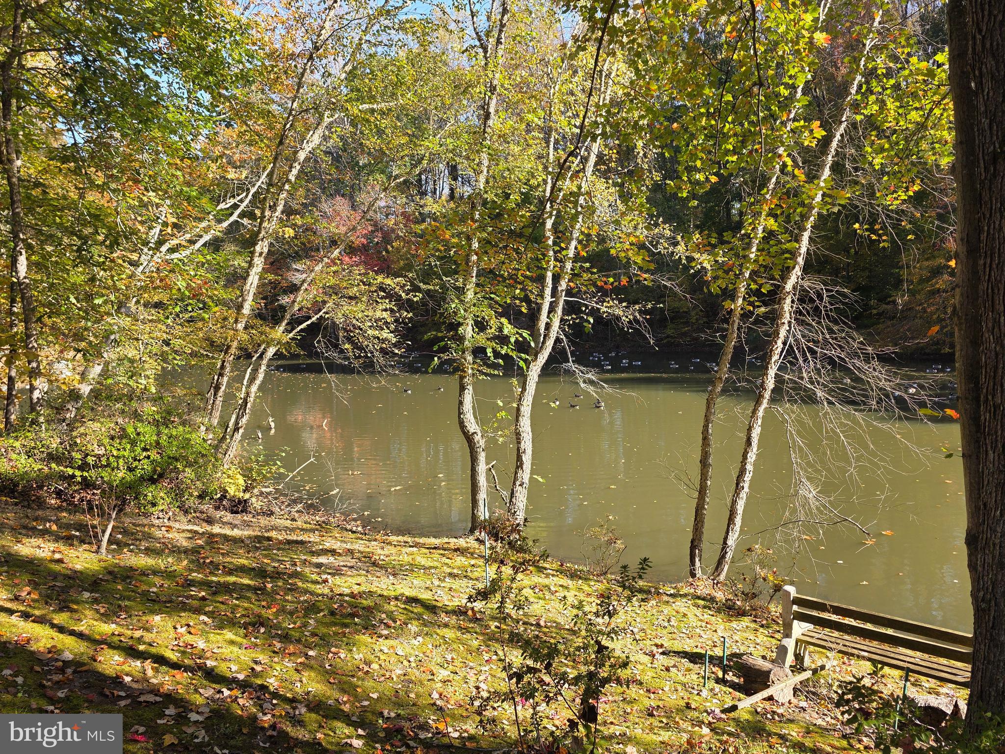 520 Chesapeake Beach Road Owings, MD 20736 - Photo 49 of 70 POND IN YOUR BACK YARD