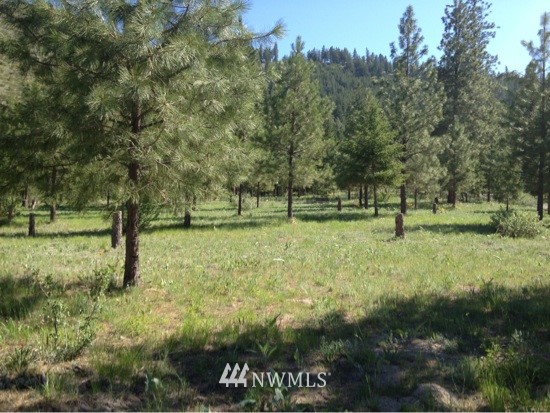 150 Thunder Road Chelan, WA 98816 - Photo 23 of 25 Gallery Image 23