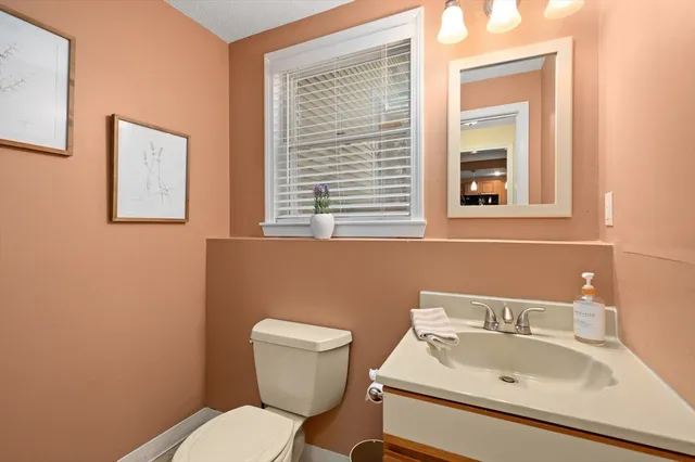 a bathroom with a sink and a toilet