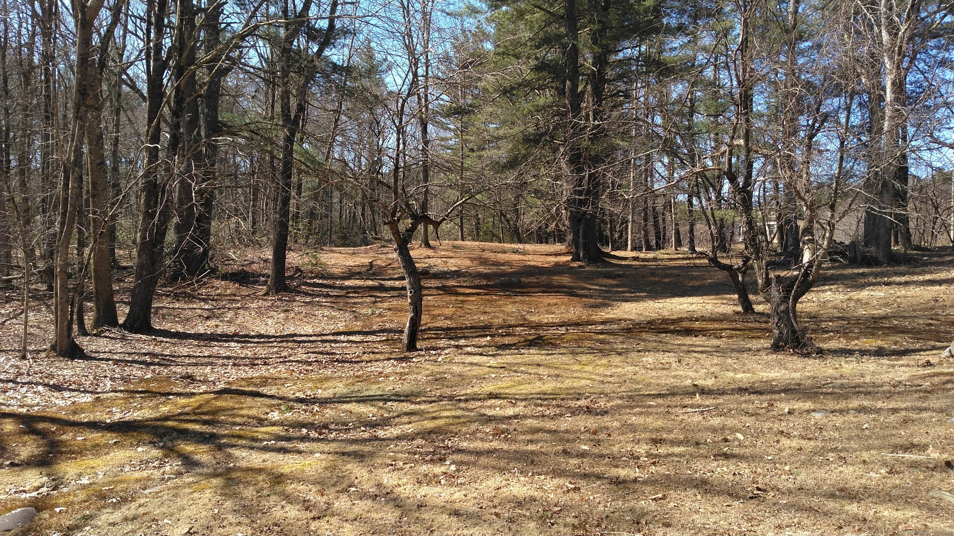 256 South Road East Hartland, CT 06027 - Photo 1 of 1