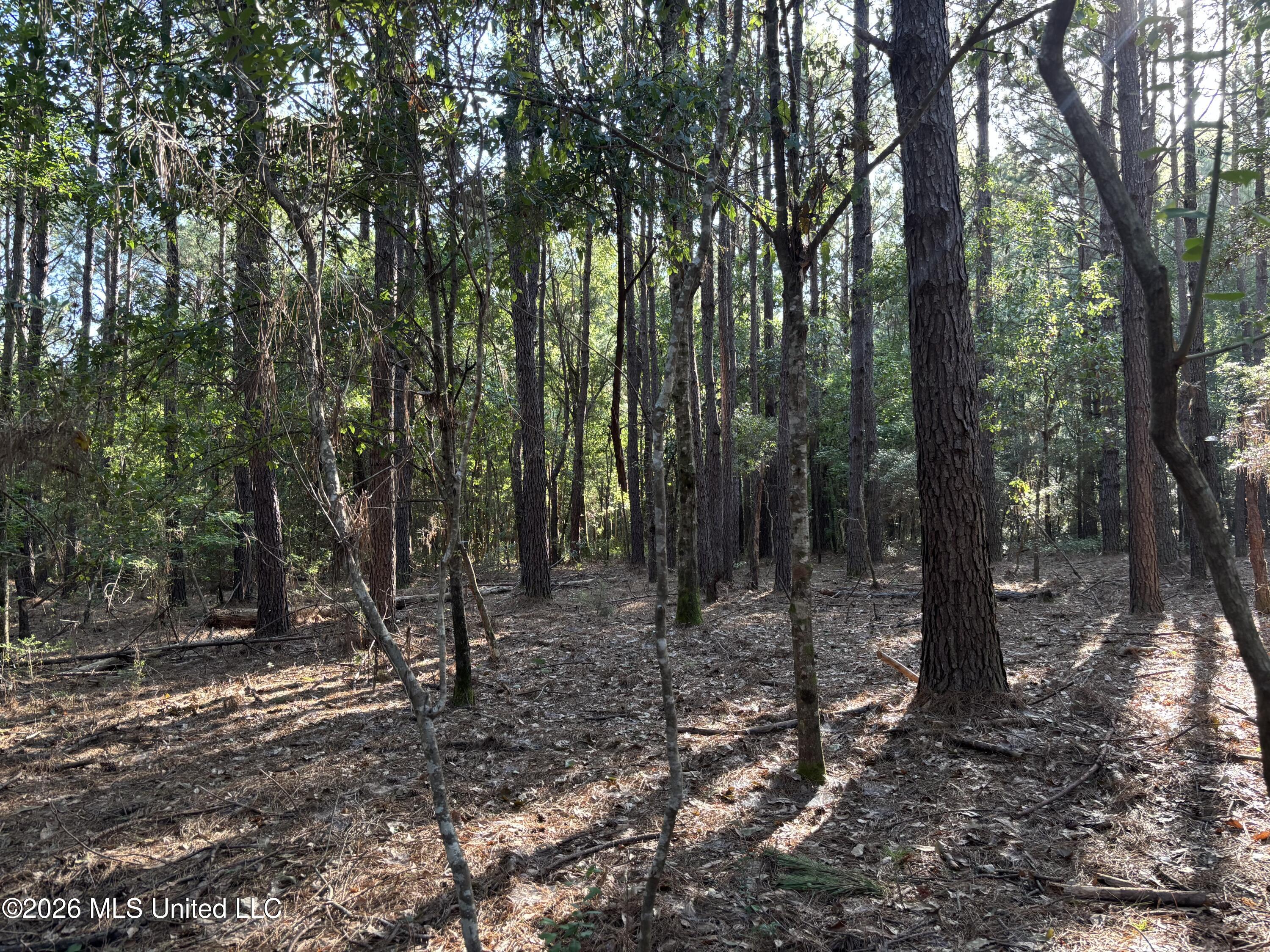 Clark Lane Gulfport, MS 39503 - Photo 22 of 26 IMG_2240