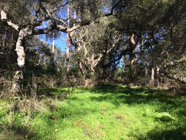 0 Walker Valley Road Castroville, CA 95012 - Photo 1 of 3 Gallery Image 1