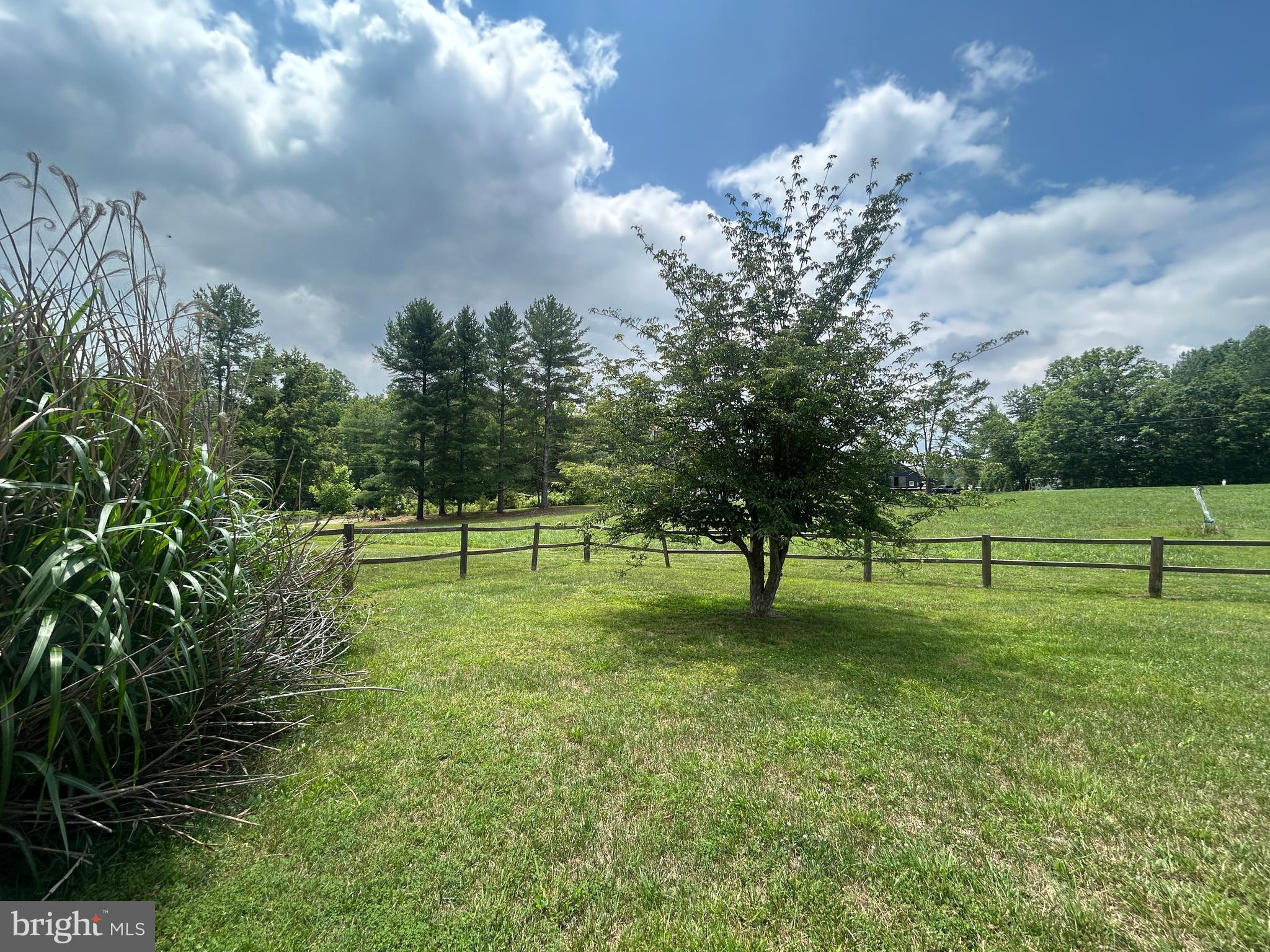 23221 Independence Road Unionville, VA 22567 - Photo 33 of 41 Yard