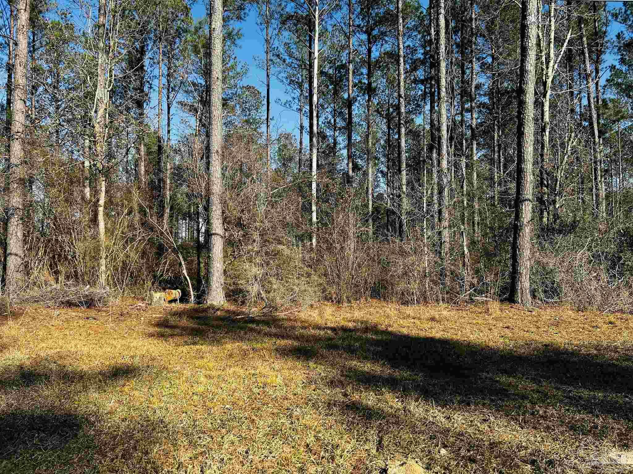 Lot 407 Country Mill Road Jay, FL 32565 - Photo 10 of 10 a view of outdoor space with trees