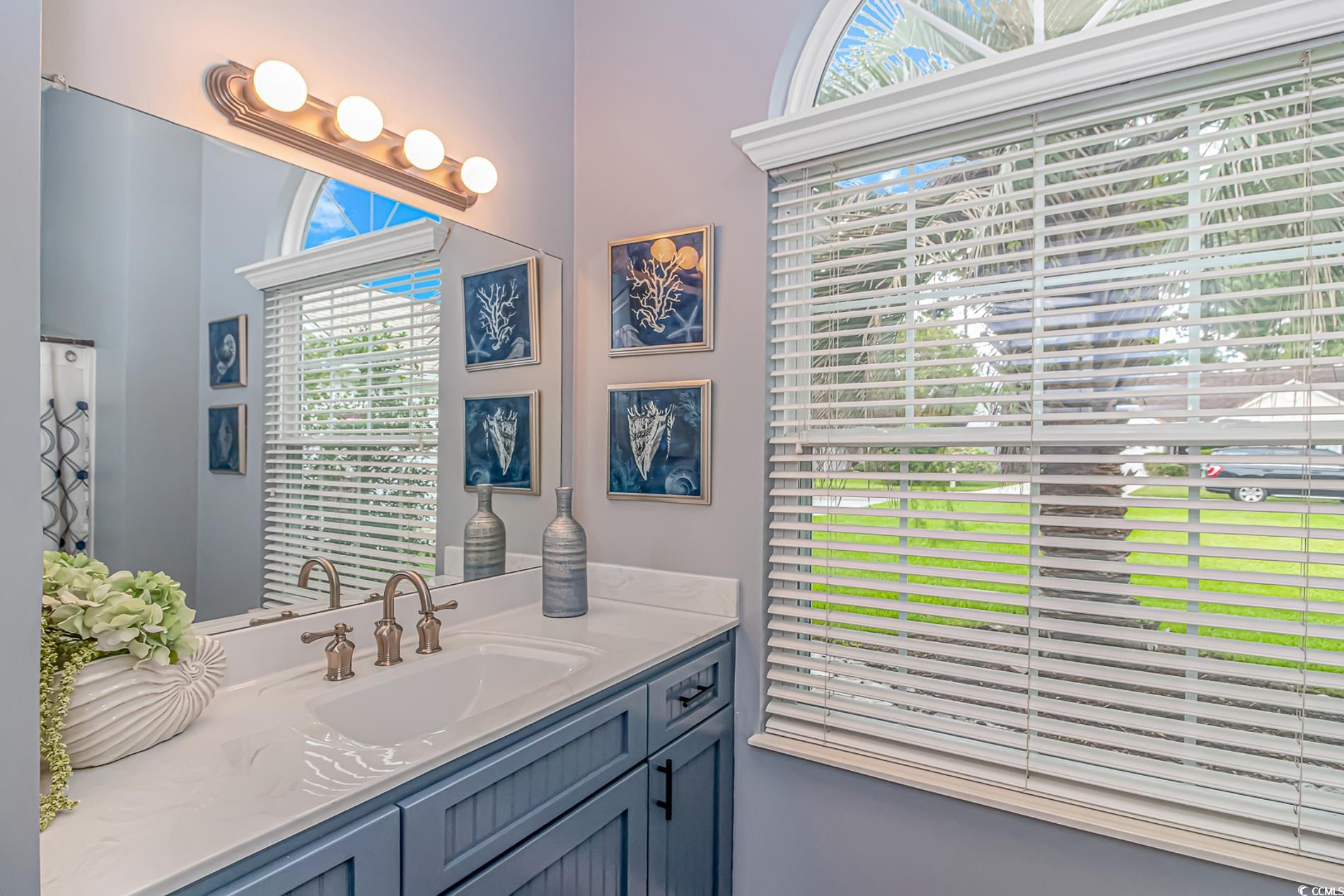 1474 Riceland Court Murrells Inlet, SC 29576 - Photo 21 of 30 Bathroom with vanity and a wealth of natural light
