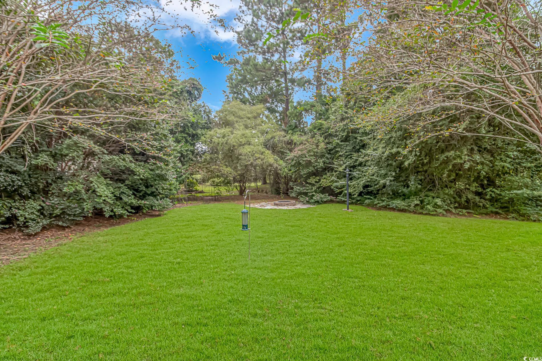 1474 Riceland Court Murrells Inlet, SC 29576 - Photo 25 of 30 View of yard