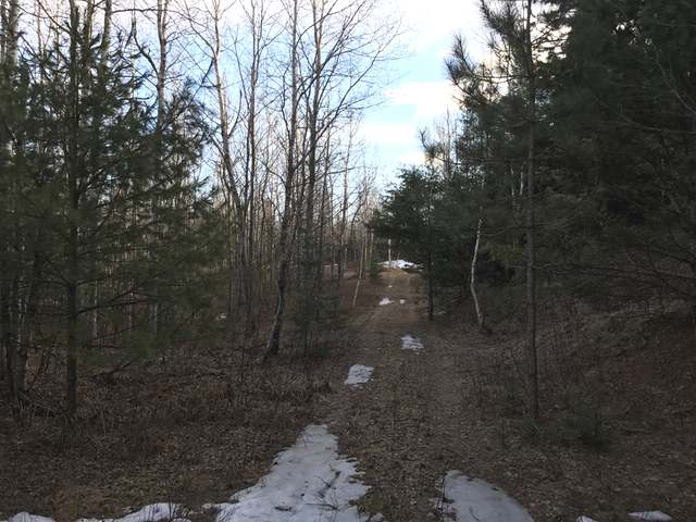 2 Pine Lake Road Rhinelander, WI 54501 - Photo 4 of 17 Gallery Image 4