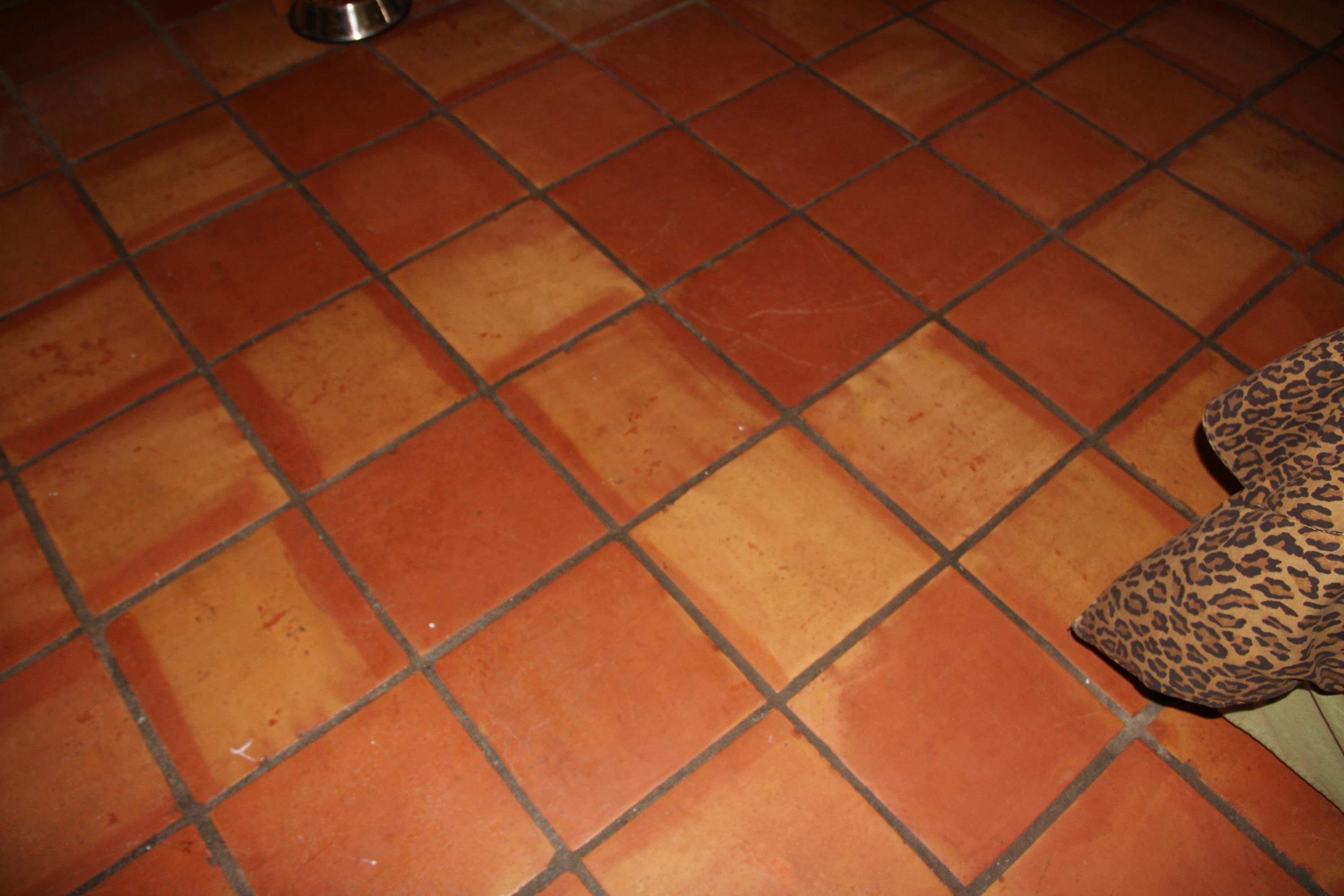 9141 154th Road North Jupiter, FL 33478 - Photo 30 of 61 Spanish tile flooring throughout