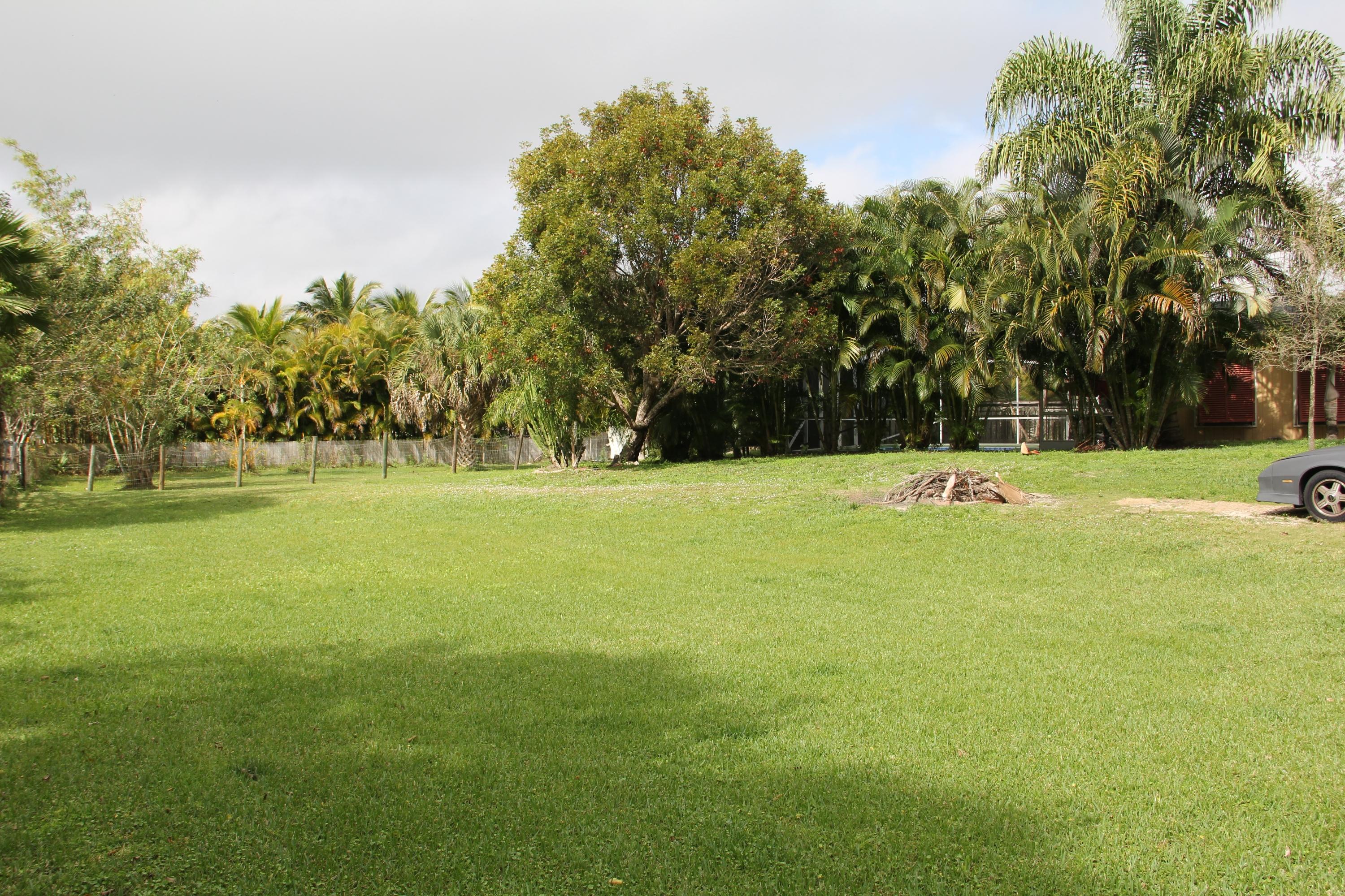9141 154th Road North Jupiter, FL 33478 - Photo 5 of 61 Front Yard