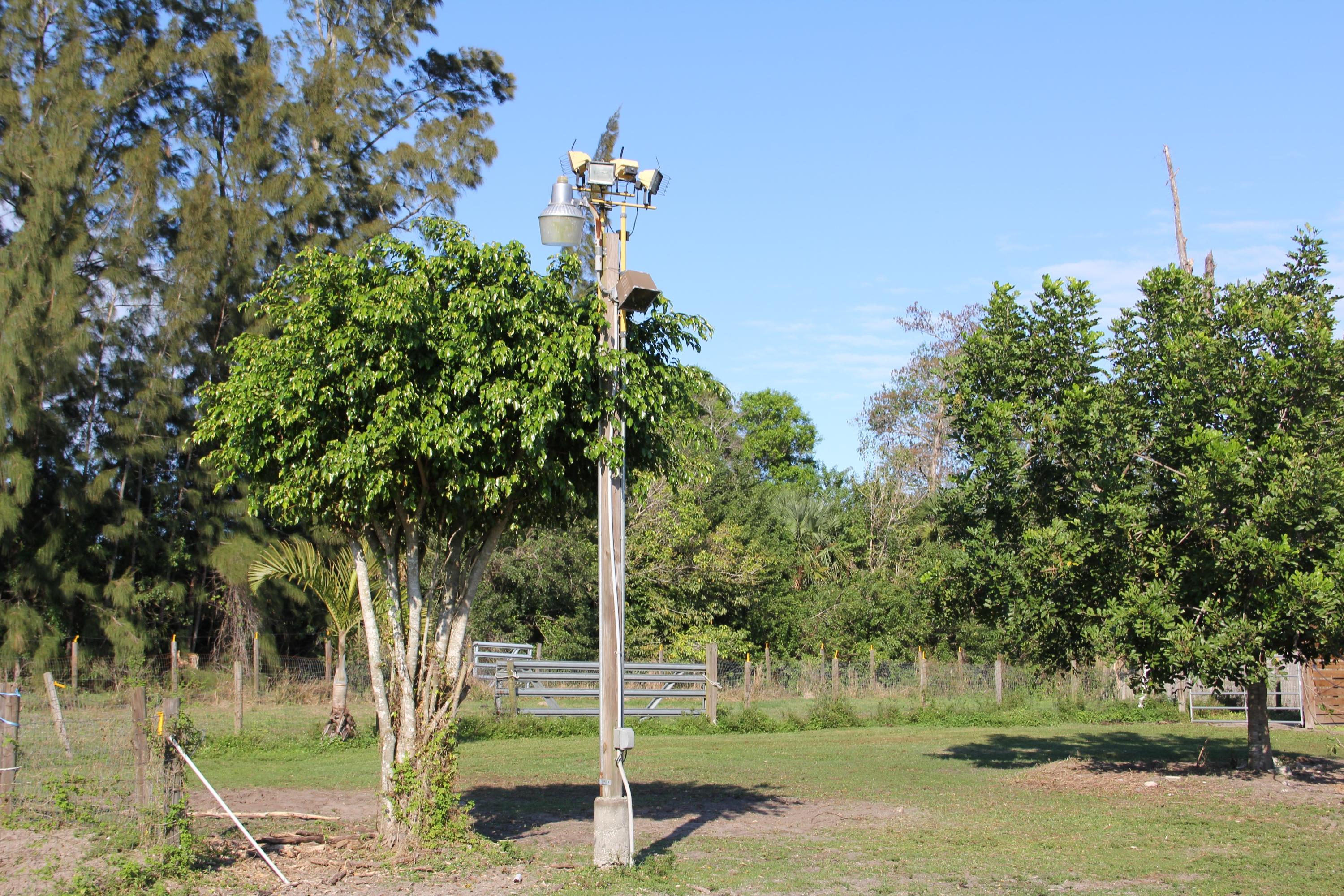 9141 154th Road North Jupiter, FL 33478 - Photo 54 of 61 Outdoor lighting in Back Yard