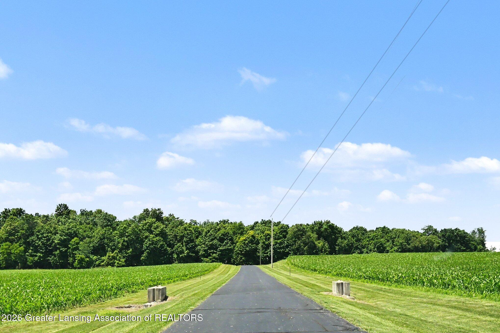 5439 North Wellman Road Woodland, MI 48897 - Photo 4 of 61 043_file_5910