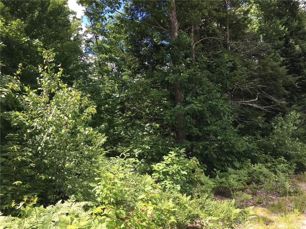 719 Bonny Eagle Road Standish, ME 04084 - Photo 4 of 5 Photo