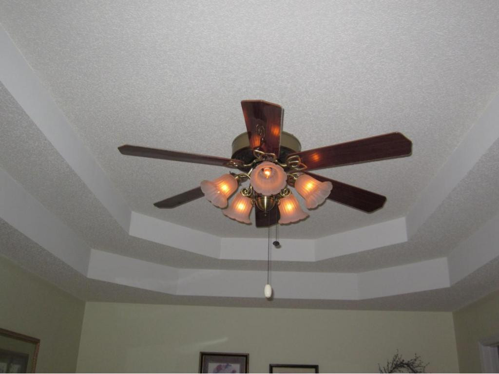 203 Rangewood Road Piney Flats, TN 37686 - Photo 13 of 24 Ceiling in Master Bedroom