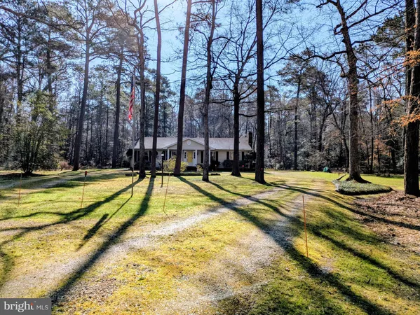 a view of swimming pool with large trees