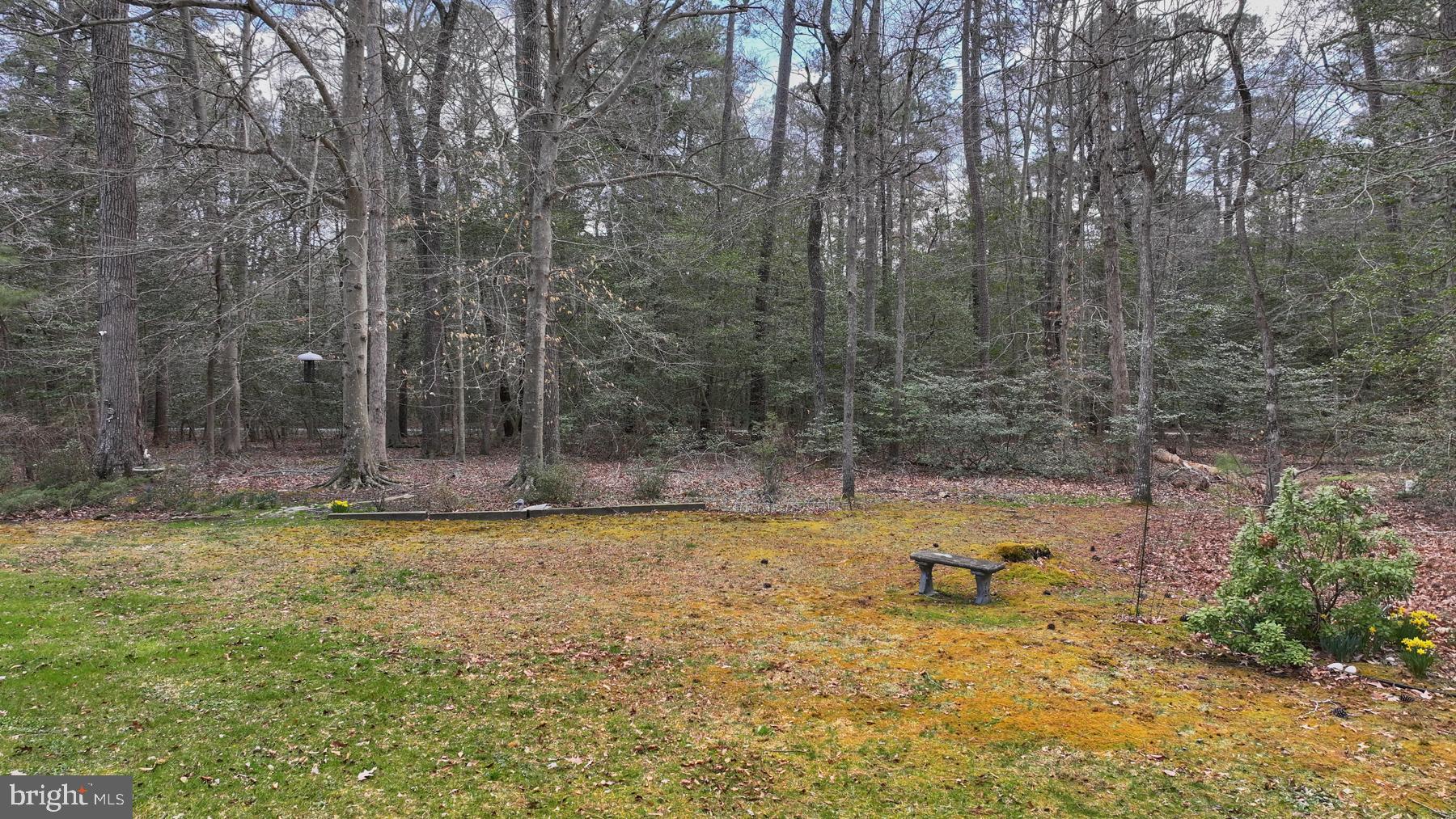 9829 Bantry Road Easton, MD 21601 - Photo 12 of 65 a view of a swimming pool and trees in the background