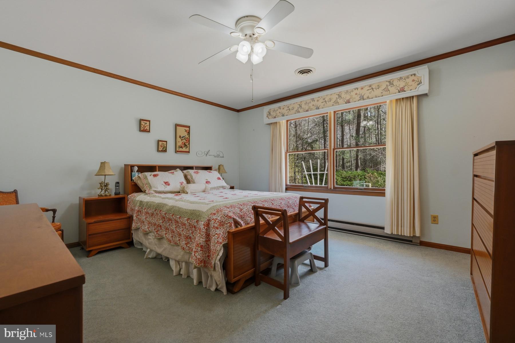 9829 Bantry Road Easton, MD 21601 - Photo 30 of 65 Primary Bedroom w/ ceiling fan & great views