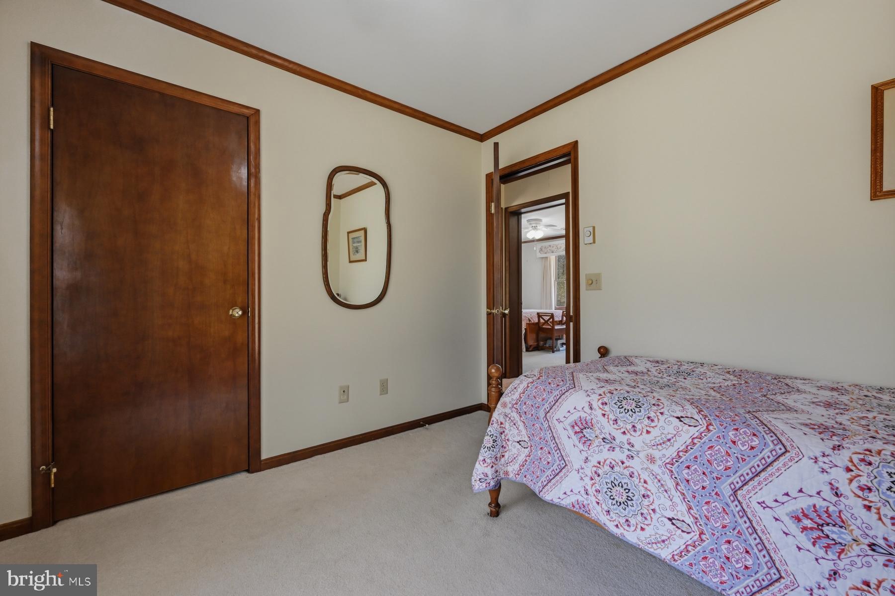 9829 Bantry Road Easton, MD 21601 - Photo 38 of 65 a bedroom with a bed and a mirror