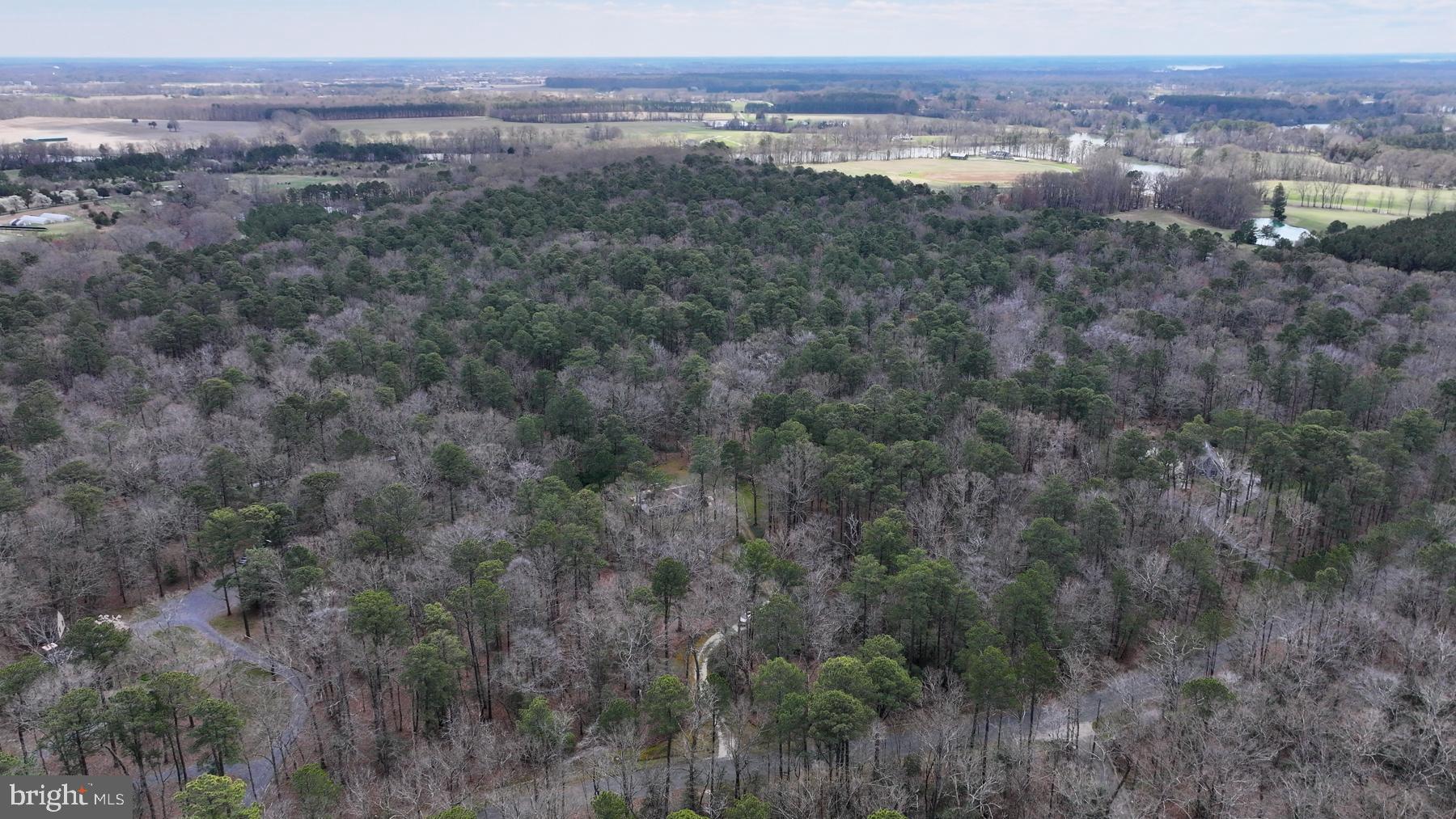 9829 Bantry Road Easton, MD 21601 - Photo 45 of 65 Bantry surrounded by nature