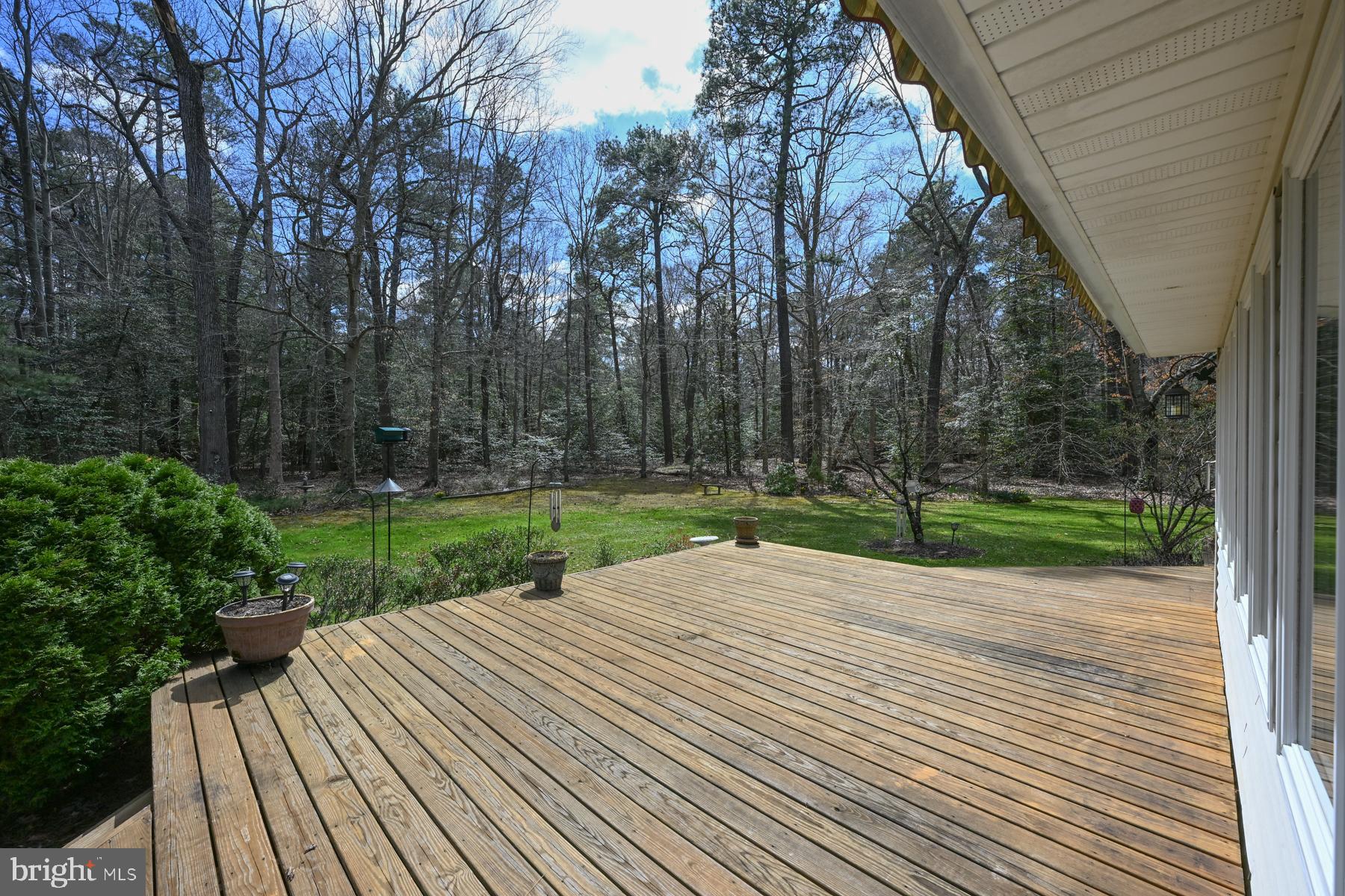 9829 Bantry Road Easton, MD 21601 - Photo 10 of 65 a view of backyard with plants and trees