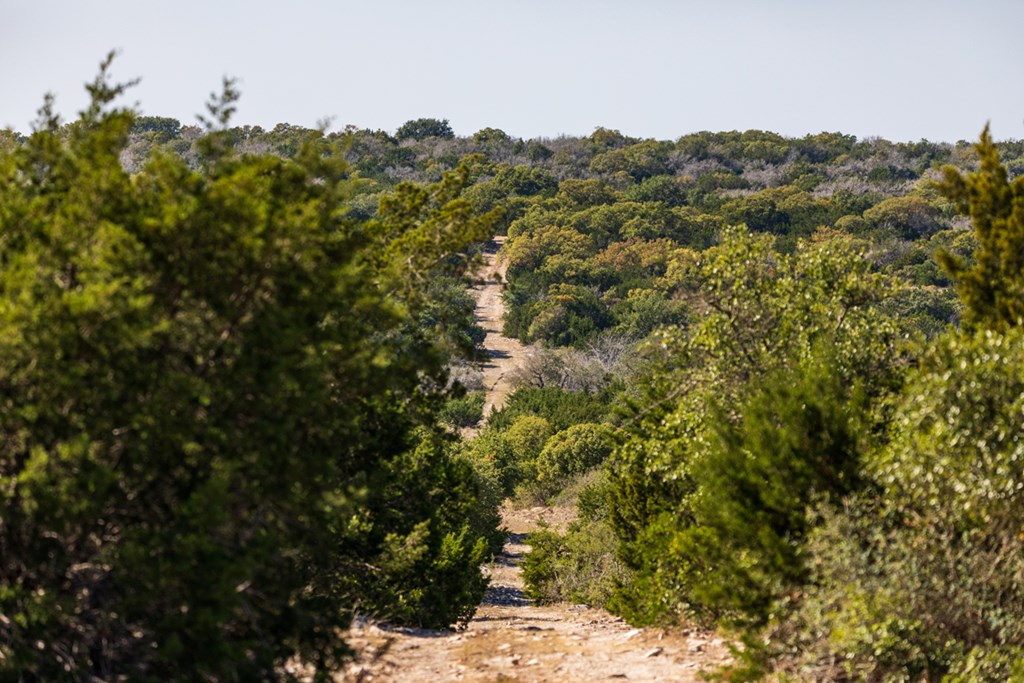 4289 Ranch Road 674, Unit 1 Rocksprings, TX 78880 - Photo 7 of 9 Gallery Image 7