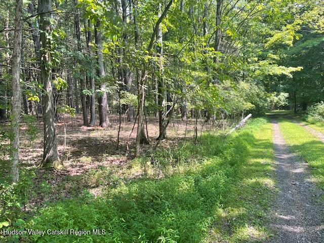 Gayhead-earlton Rd Greenville Ny 12083 Road Earlton, NY 12058 - Photo 1 of 4 a view of yard