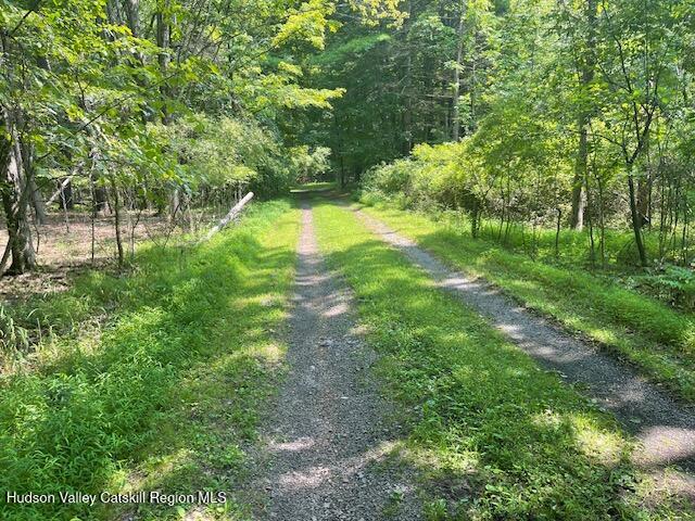 Gayhead-earlton Rd Greenville Ny 12083 Road Earlton, NY 12058 - Photo 2 of 4 a view of yard with green space