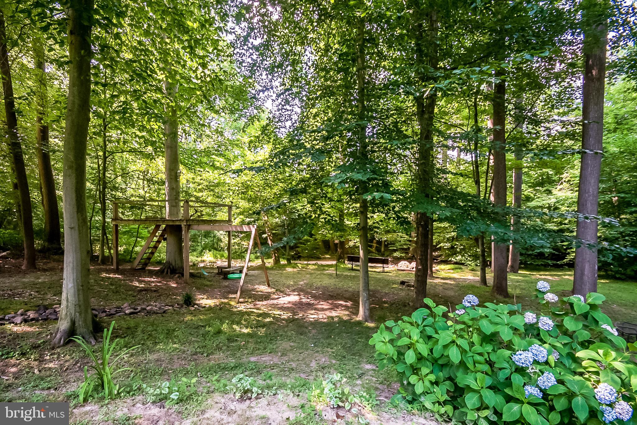 148 Katherine Court Elkton, MD 21921 - Photo 35 of 40 Tree House