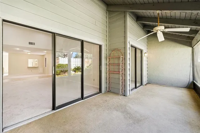a view of backyard with a palm tree
