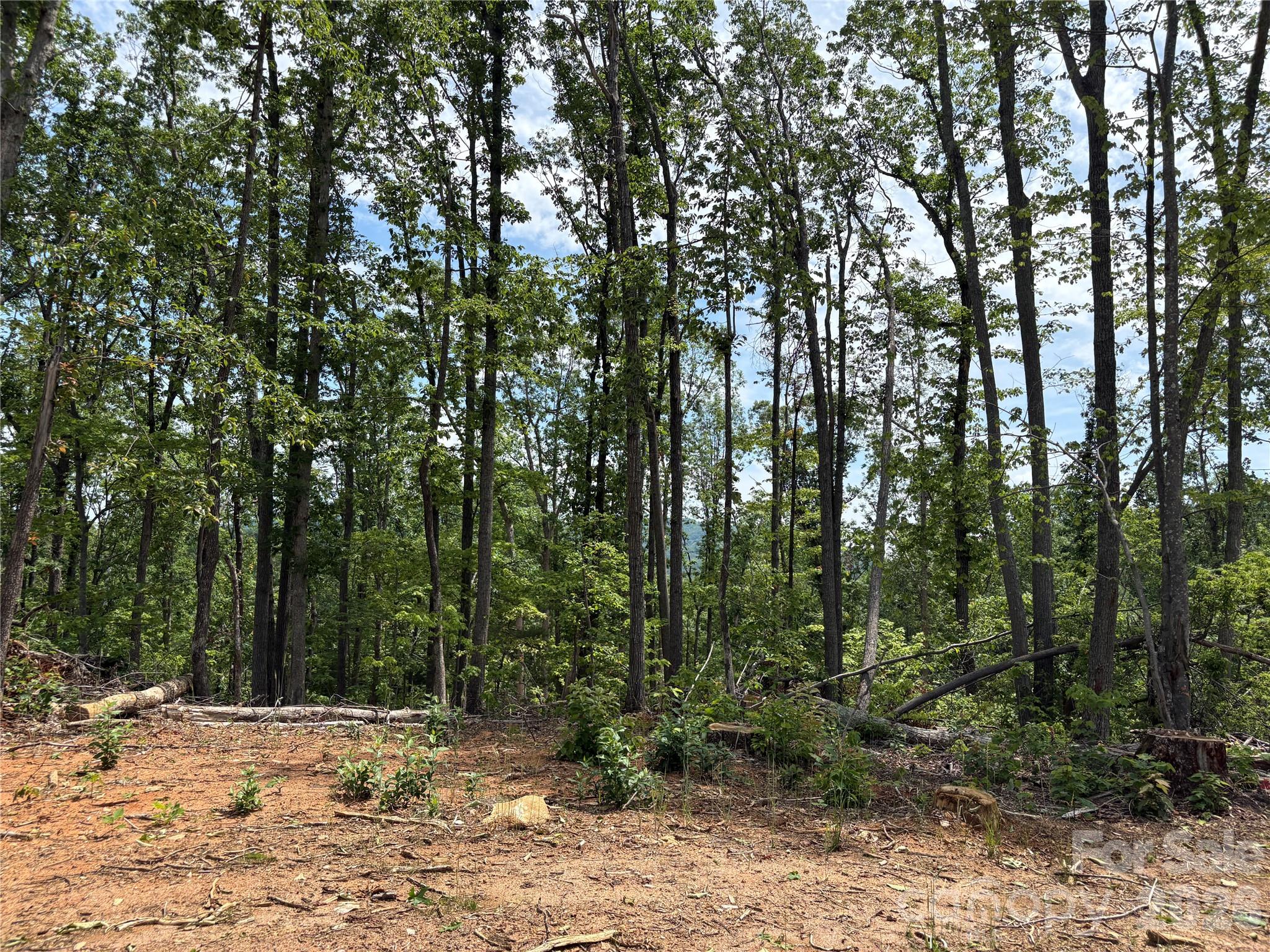 Tbd Early Road Saluda, NC 28773 - Photo 1 of 8 Gallery Image 1