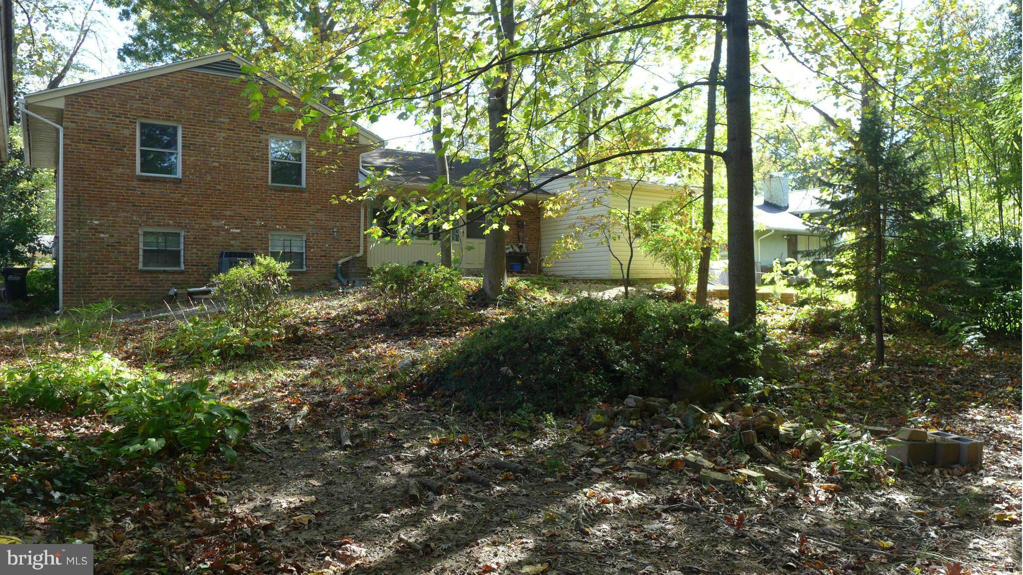 5405 Littleford Street Springfield, VA 22151 - Photo 26 of 30 Exterior (Rear)
