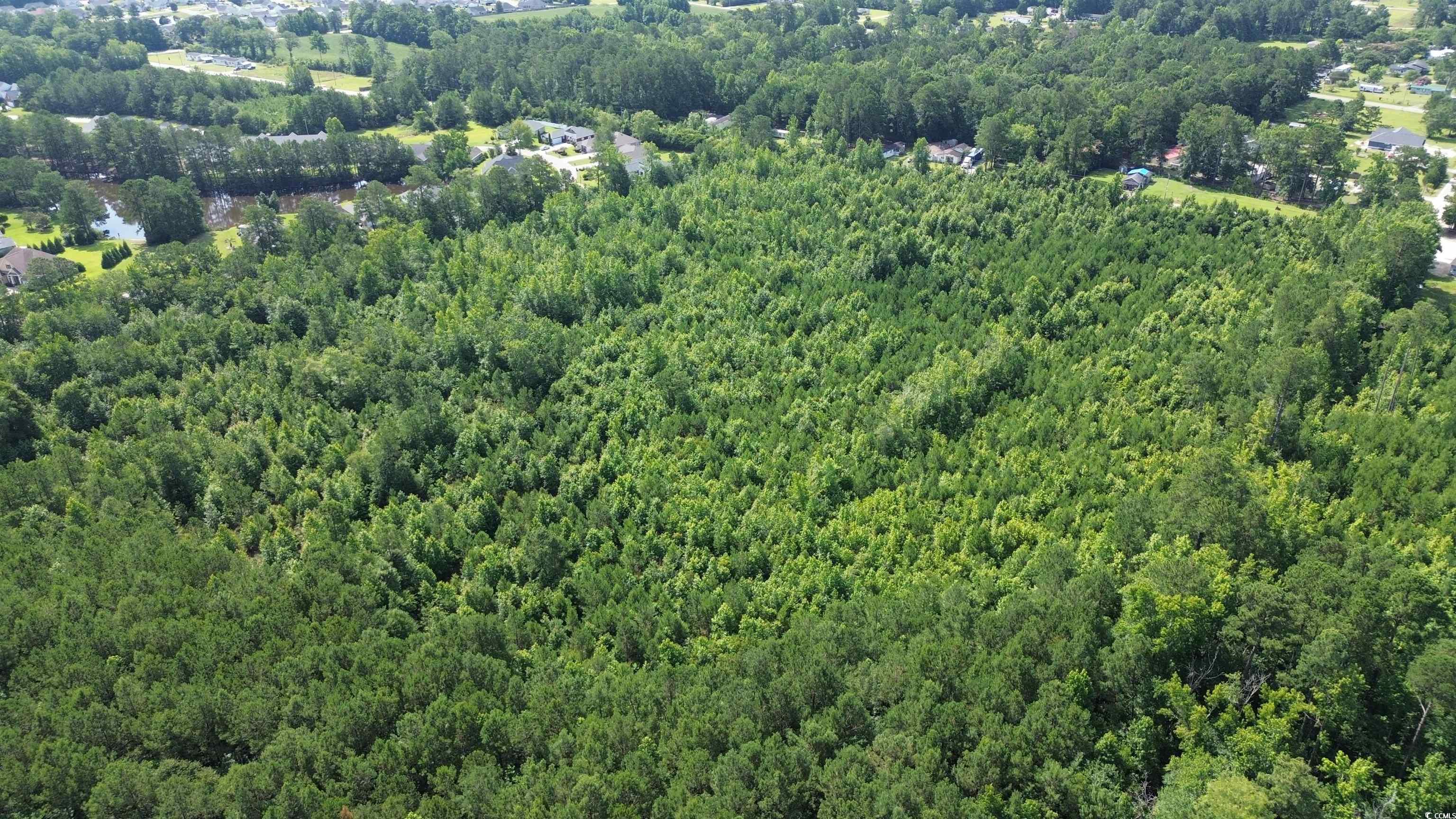 Tbd Elbow Road Longs, SC 29568 - Photo 3 of 14 View of property location with a heavily wooded area