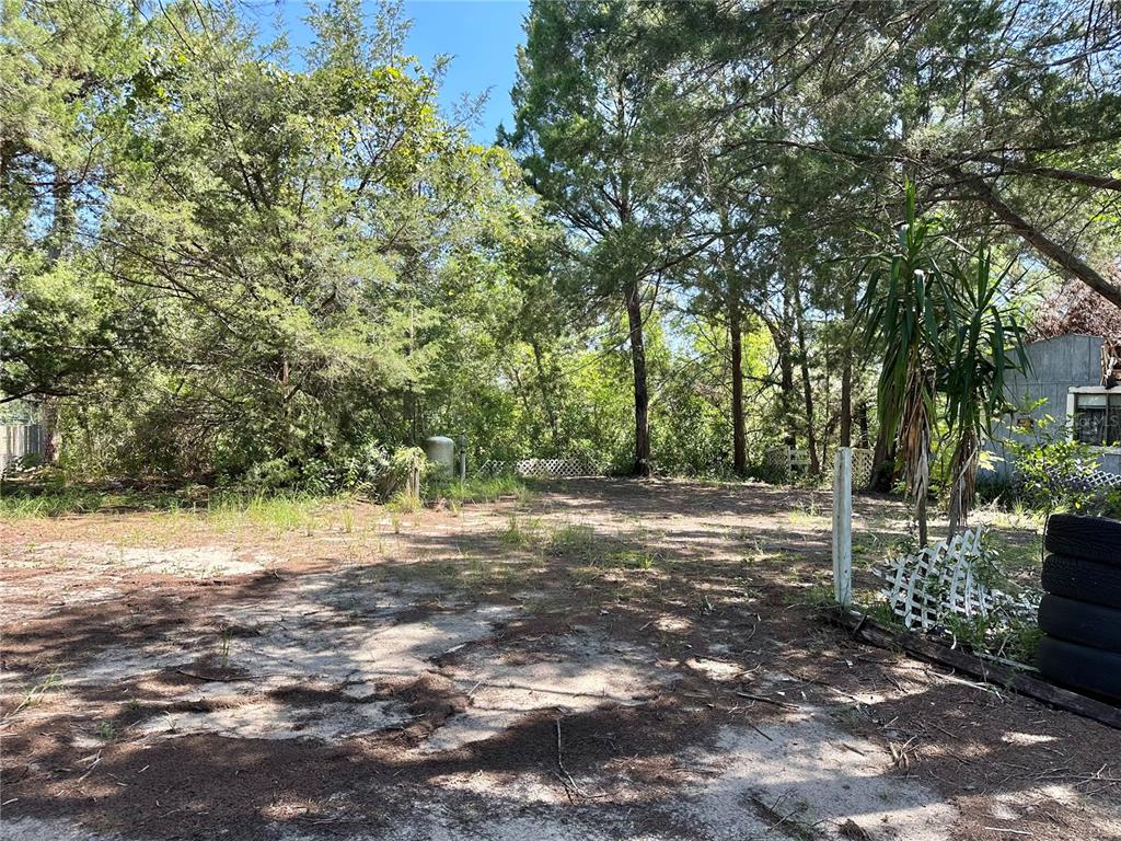 11192 Wren Road Weeki Wachee, FL 34614 - Photo 11 of 12 a view of a yard with plants and trees