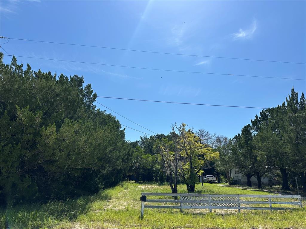 11192 Wren Road Weeki Wachee, FL 34614 - Photo 3 of 12 a view of a yard