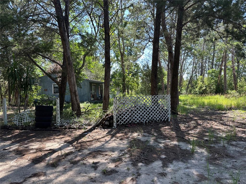 11192 Wren Road Weeki Wachee, FL 34614 - Photo 8 of 12 a view of a yard with large trees and a barn