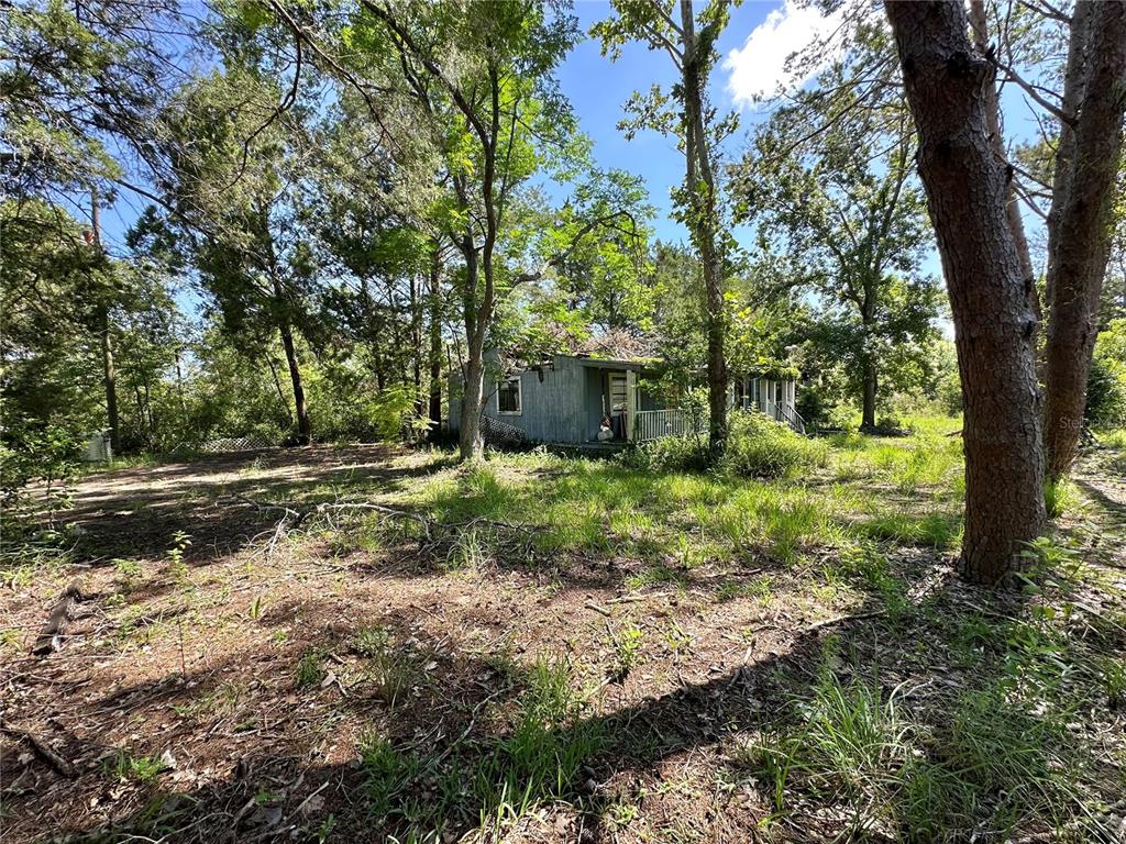 11192 Wren Road Weeki Wachee, FL 34614 - Photo 10 of 12 a view of a tree in the middle of a yard