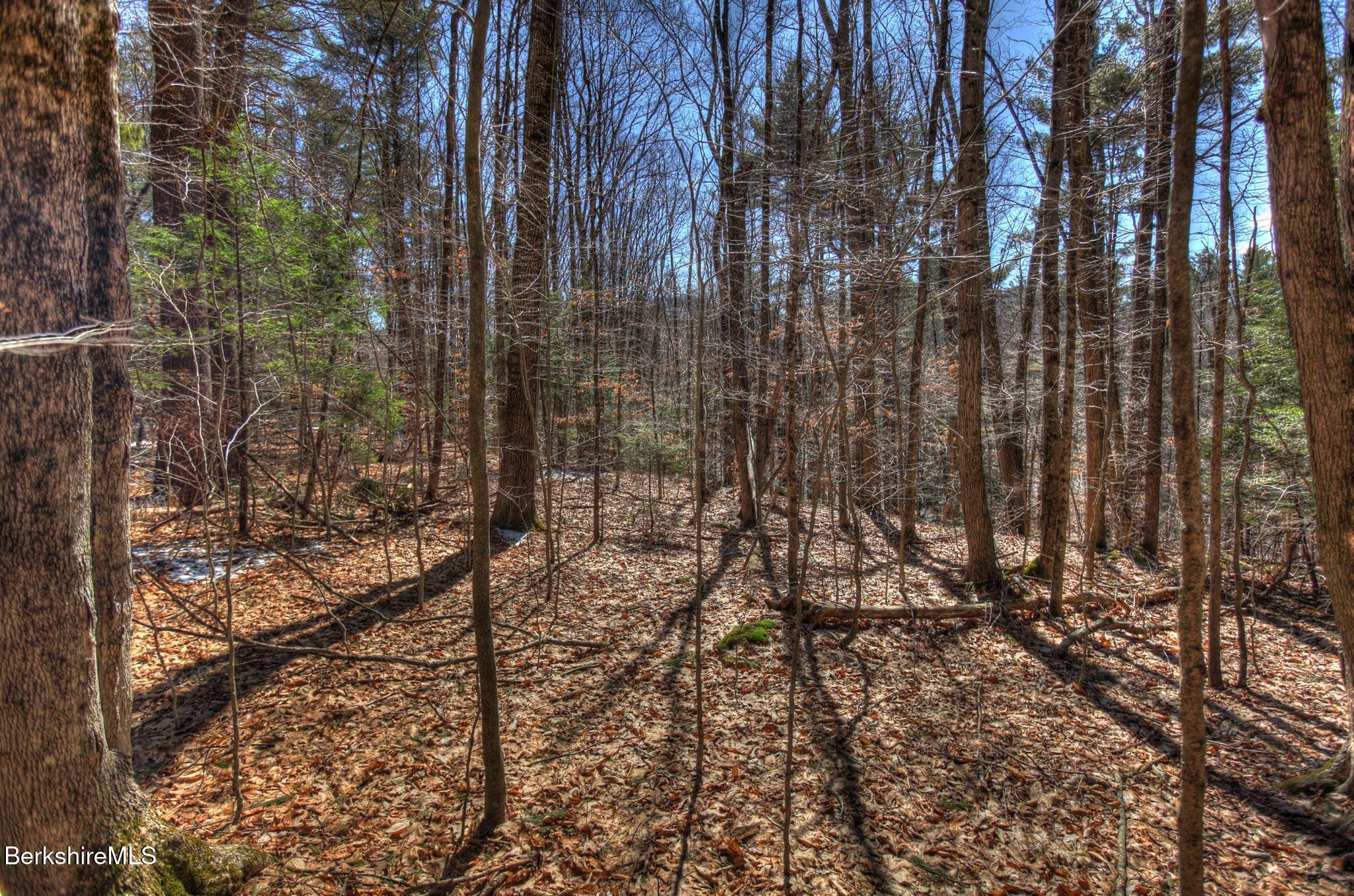 0 Tyringham Road Otis, MA 01253 - Photo 1 of 11