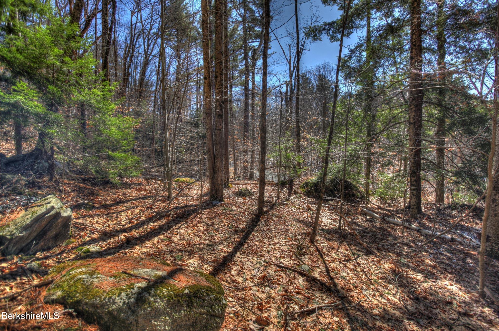 0 Tyringham Road Otis, MA 01253 - Photo 2 of 11 a view of a forest with trees