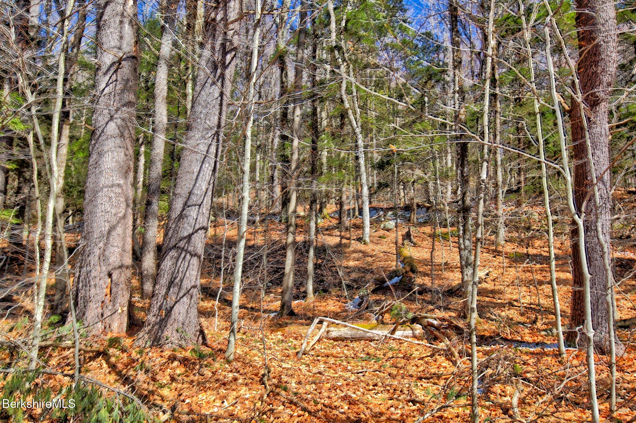 0 Tyringham Road Otis, MA 01253 - Photo 4 of 11 view of a brick building next to a yard