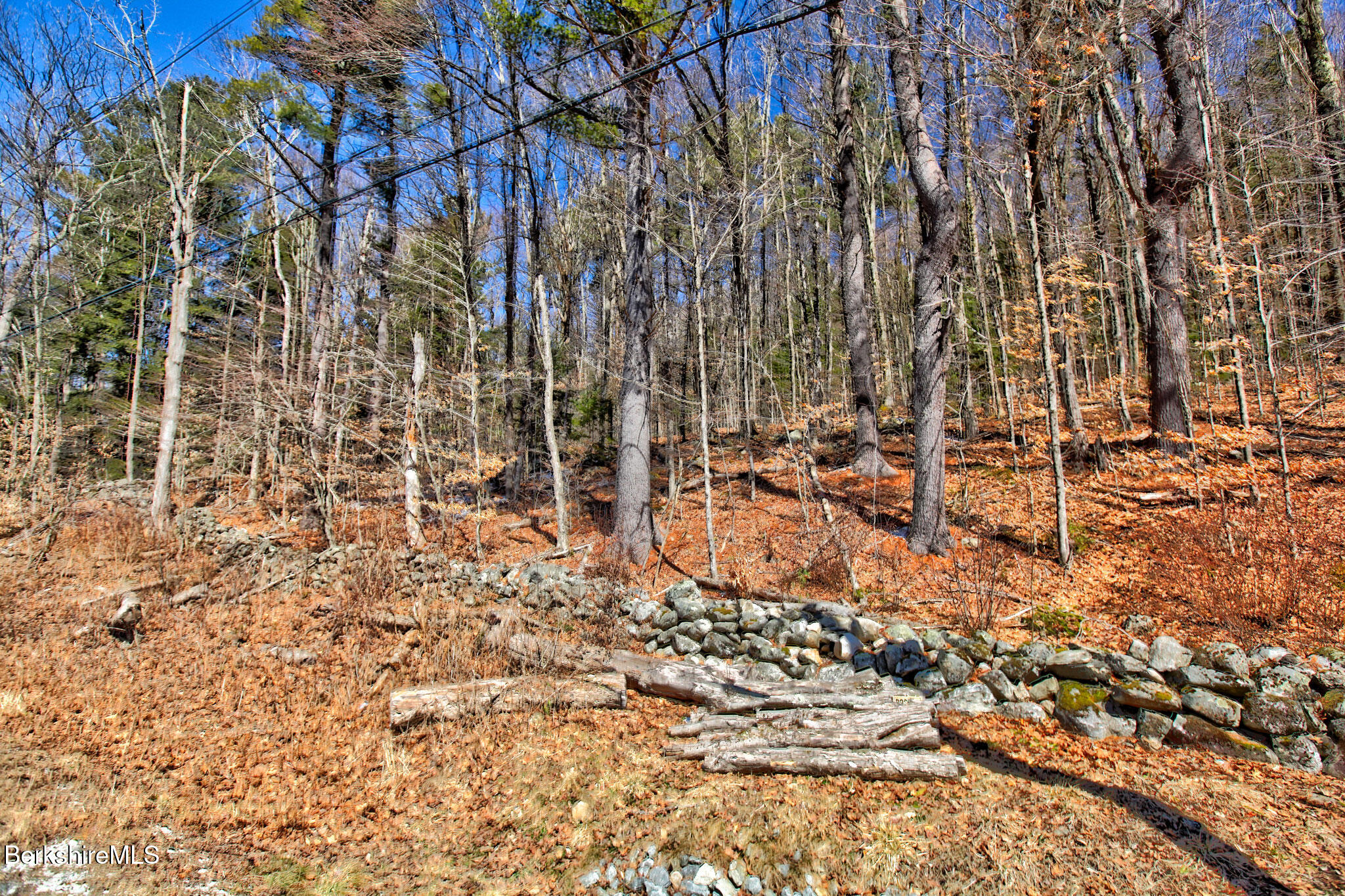 0 Tyringham Road Otis, MA 01253 - Photo 5 of 11