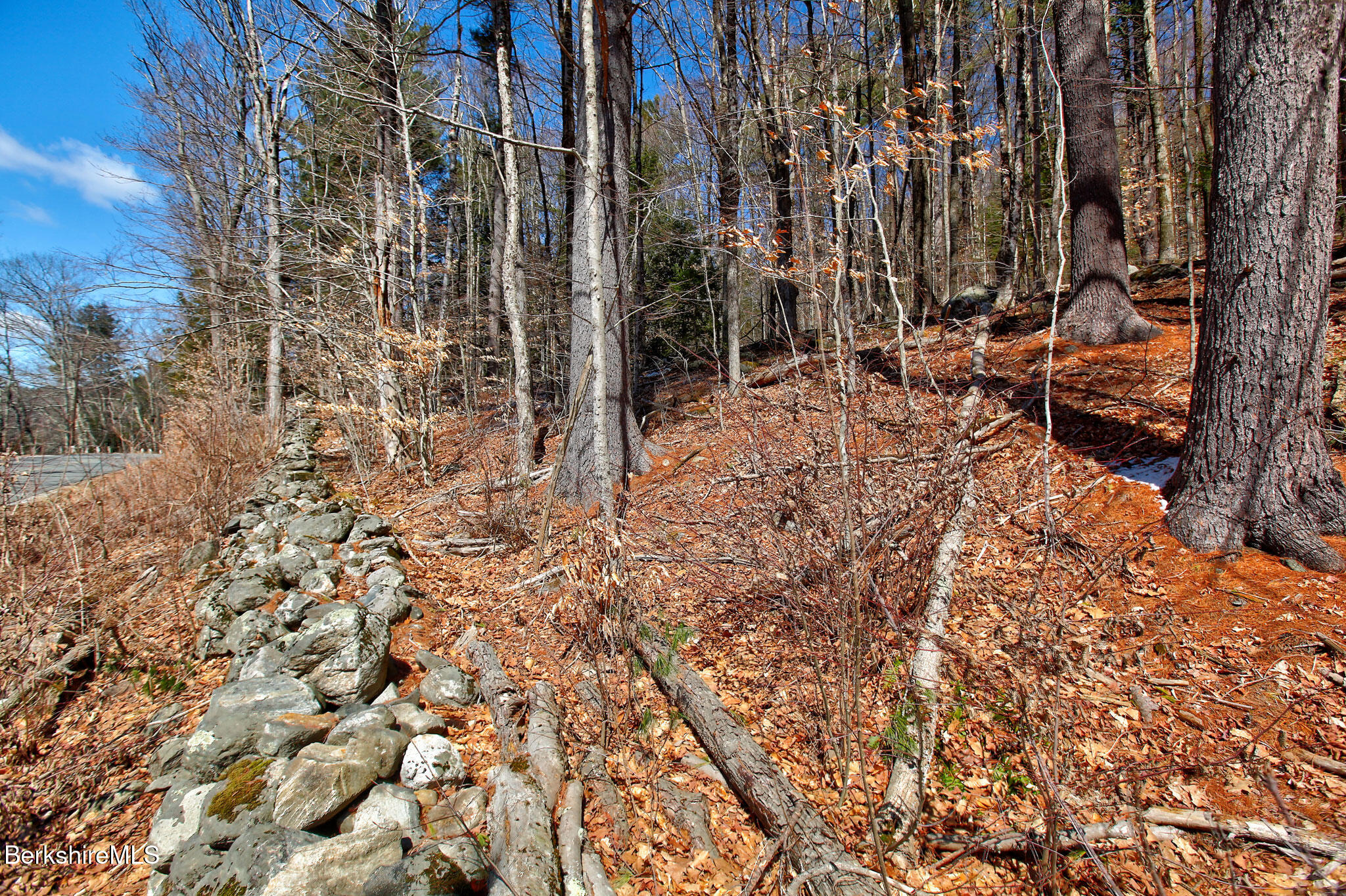 0 Tyringham Road Otis, MA 01253 - Photo 6 of 11 a view of outdoor space with garden