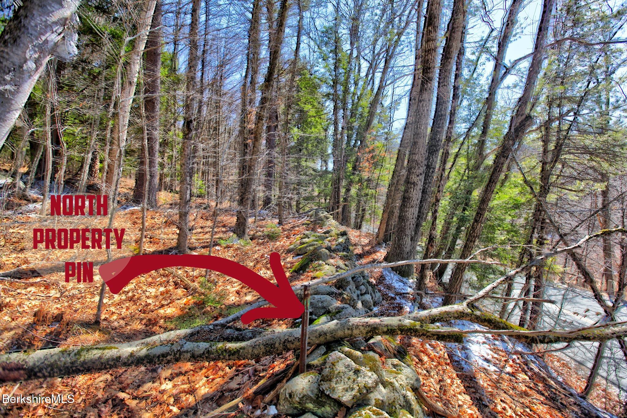 0 Tyringham Road Otis, MA 01253 - Photo 8 of 11