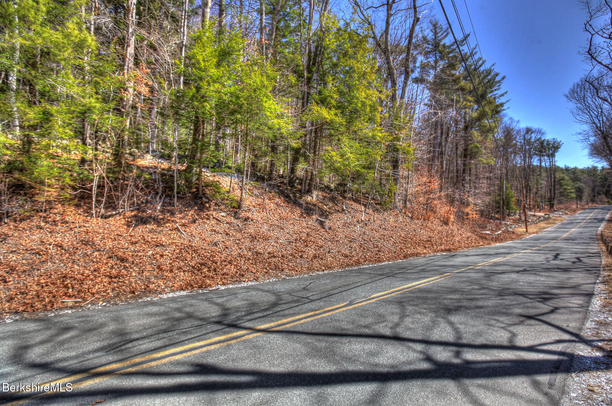 0 Tyringham Road Otis, MA 01253 - Photo 9 of 11 a view of a yard with large trees