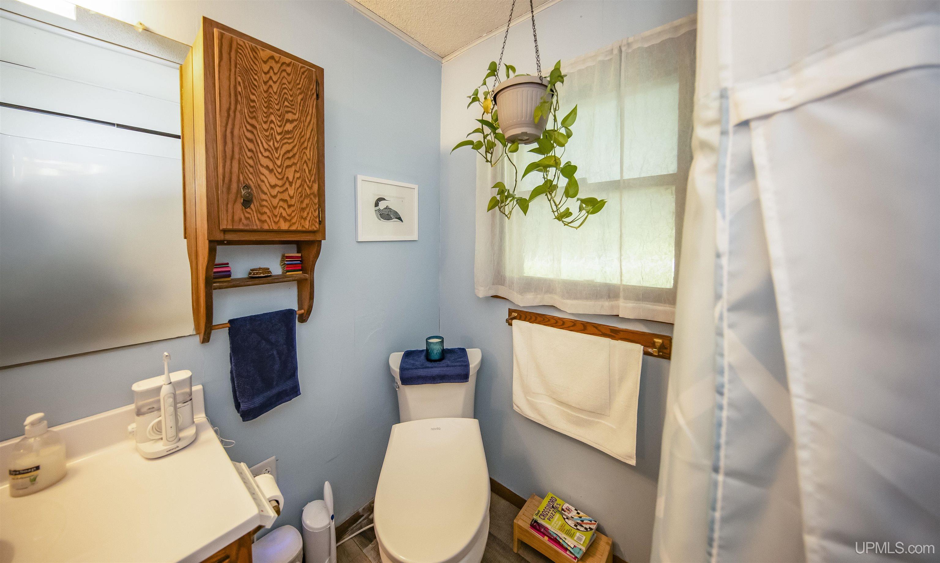 161 Camp Lake Road Iron River, MI 49935 - Photo 40 of 82