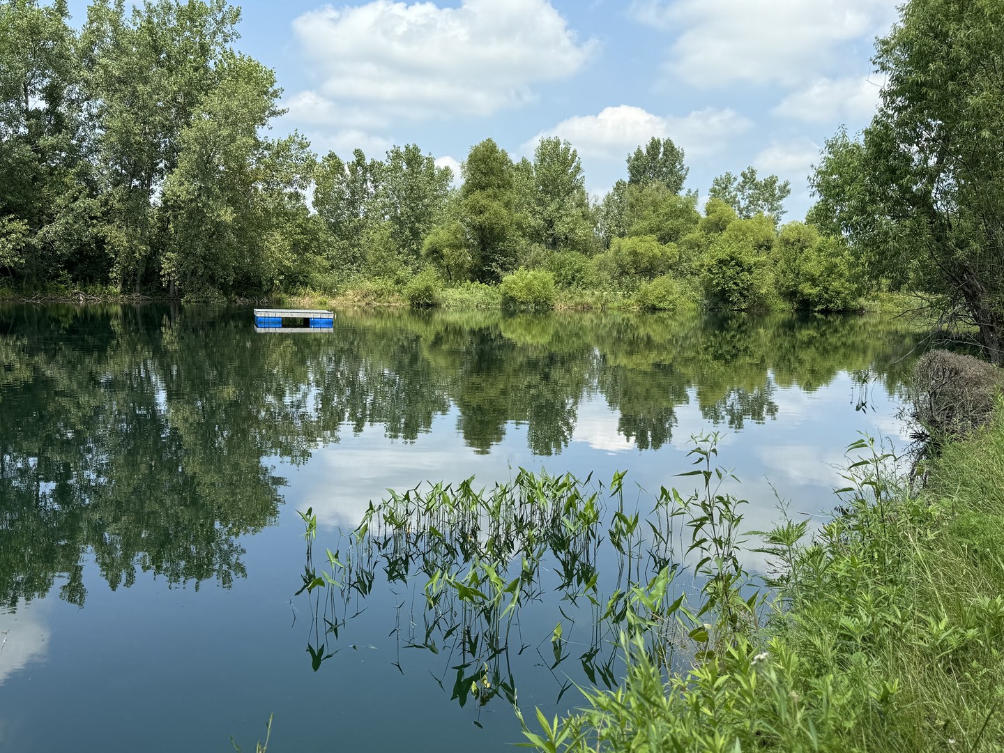 561 County Road 2000 East Secor, IL 61771 - Photo 26 of 37 a view of a lake from a yard
