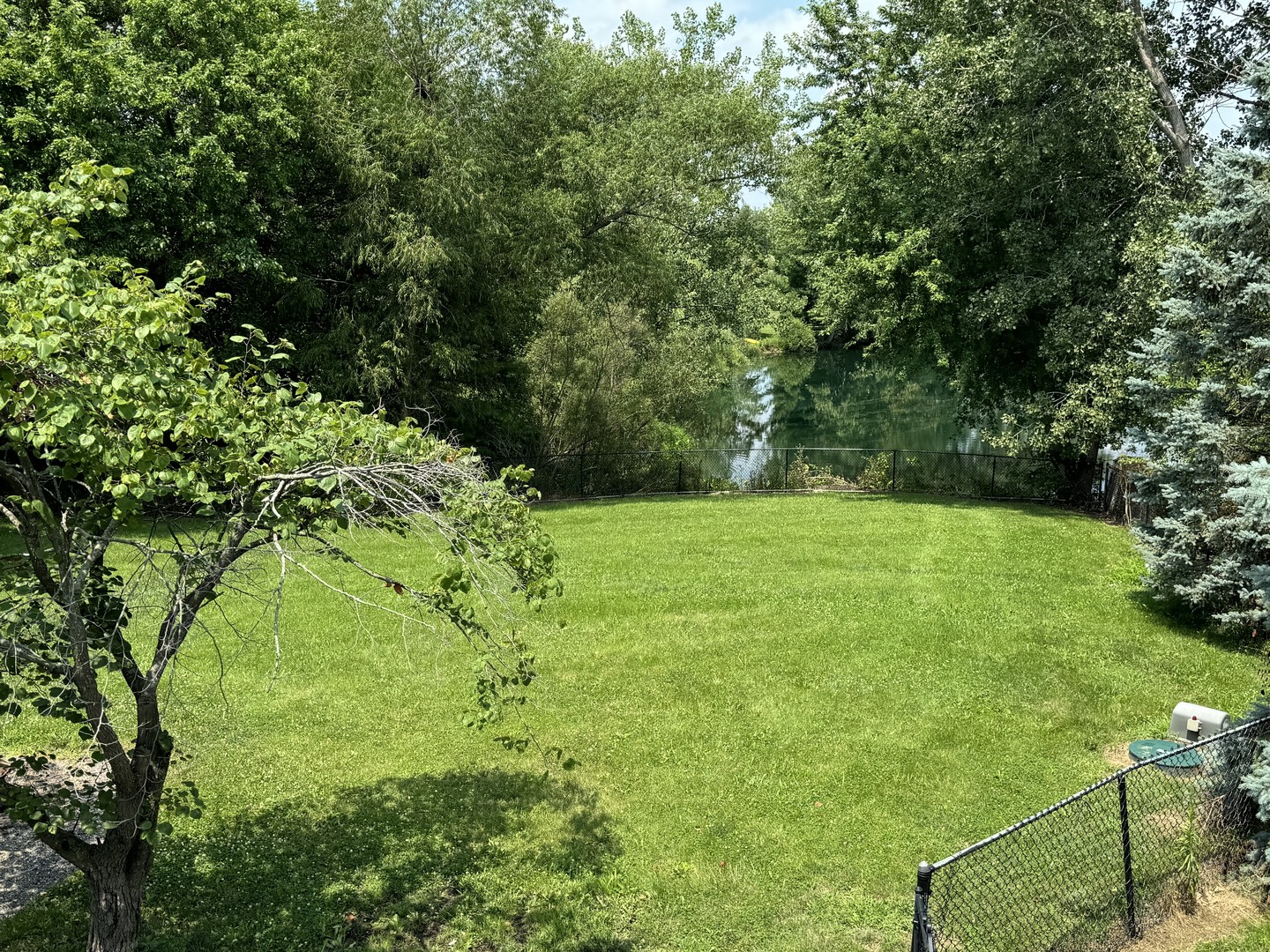 561 County Road 2000 East Secor, IL 61771 - Photo 27 of 37 a view of green field with trees in the background