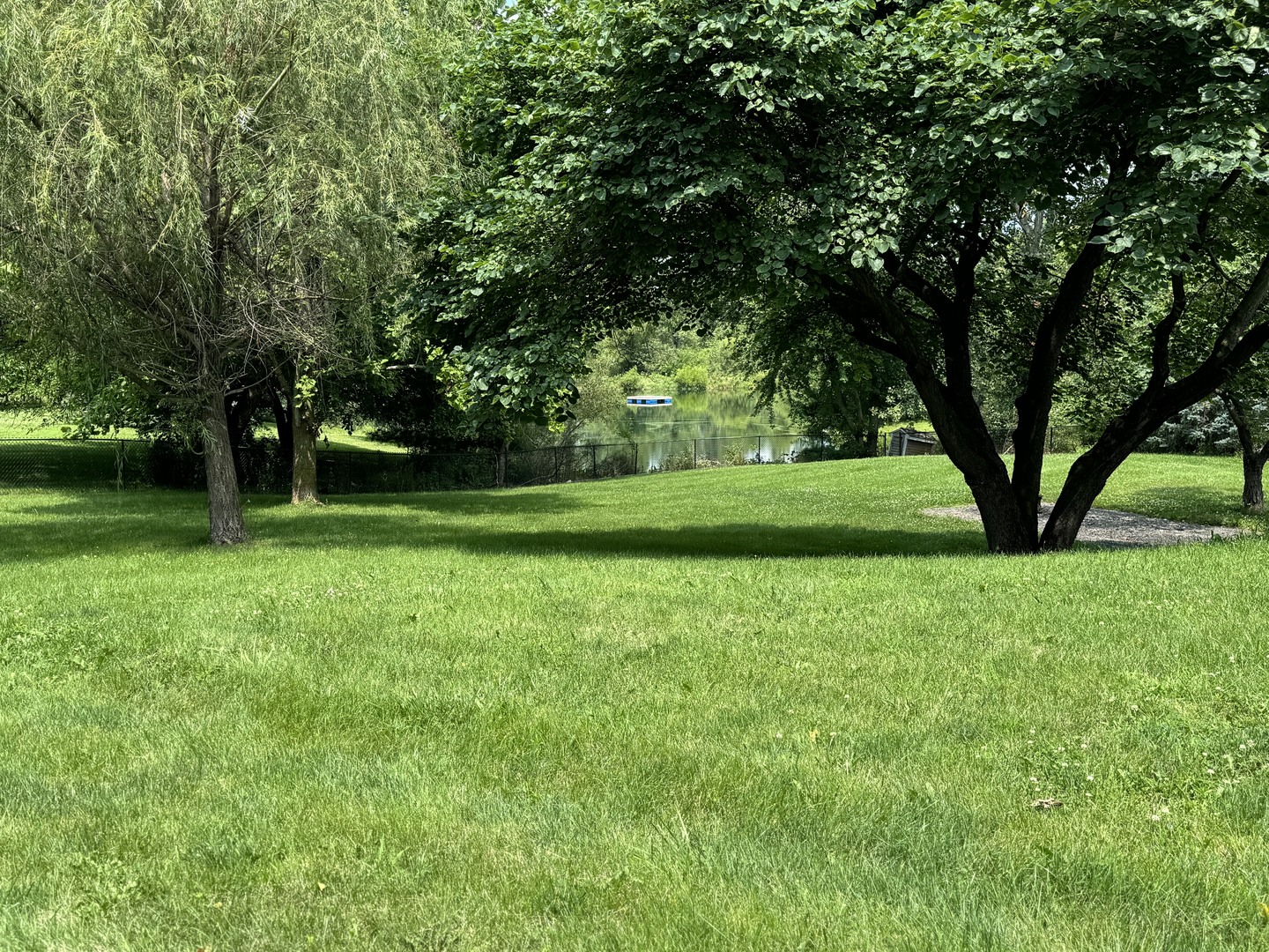561 County Road 2000 East Secor, IL 61771 - Photo 29 of 37 a view of a trees in a yard