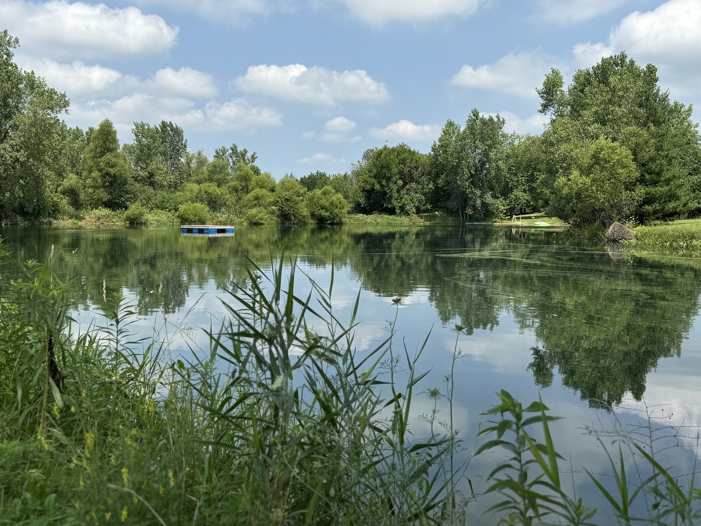 561 County Road 2000 East Secor, IL 61771 - Photo 5 of 37 a body of water with a tree in the background