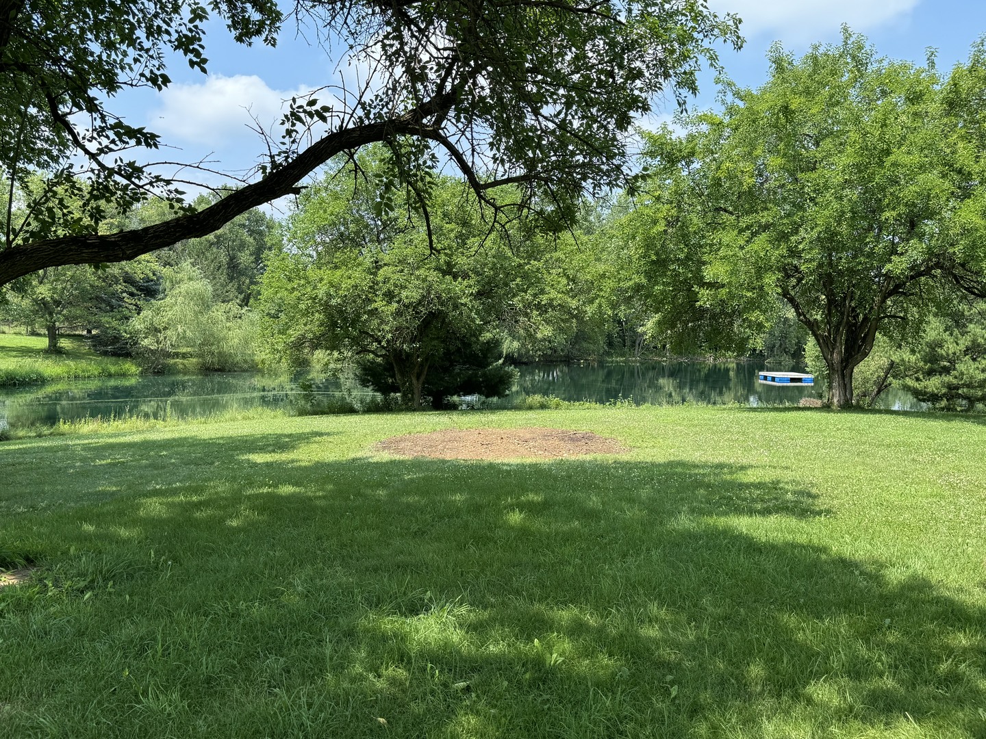 561 County Road 2000 East Secor, IL 61771 - Photo 6 of 37 a view of green field with trees in the background